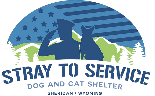 Stray%20to%20Service%20(1)_edited.png