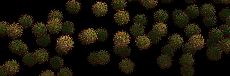 AdobeStock_329051904.jpeg