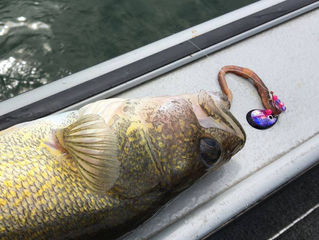 Mid-Summer Spinner Tactics