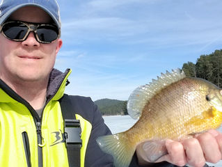 Review of Blackfish Zenith and Apogee Thermal Jackets