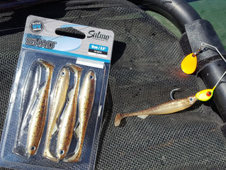 Hot Days and Hard Bites, But Hope Springs Eternal