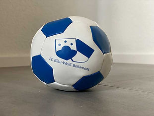 FCB-Kinderball.jpg