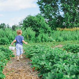 Little boy playing happily in a green garden.