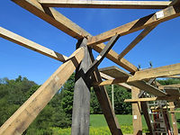 old and new timbers.jpeg