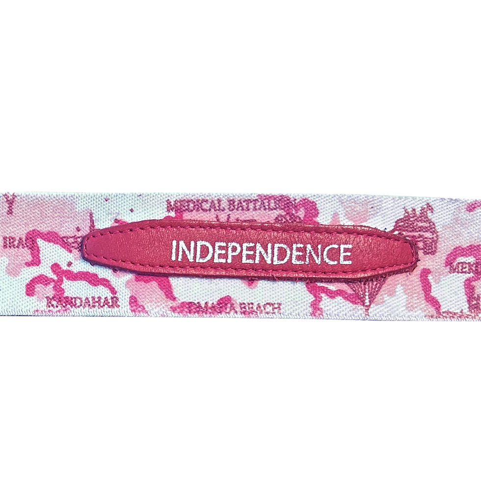 Thumbnail: Independence