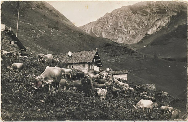 Untere Zwerenalpe