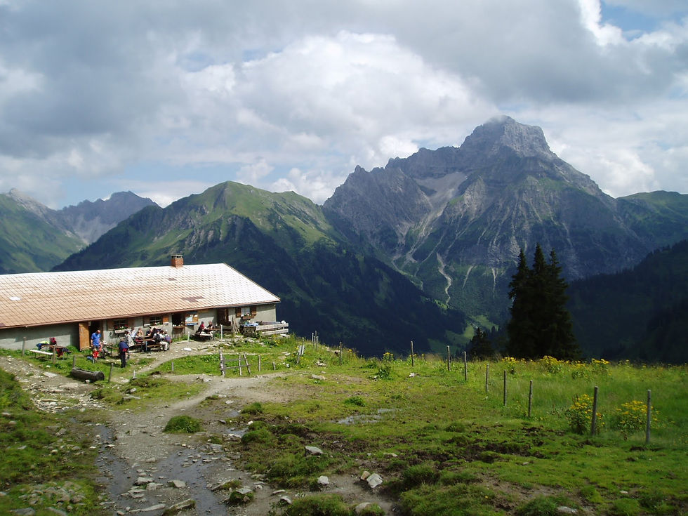 Stierhofalpe