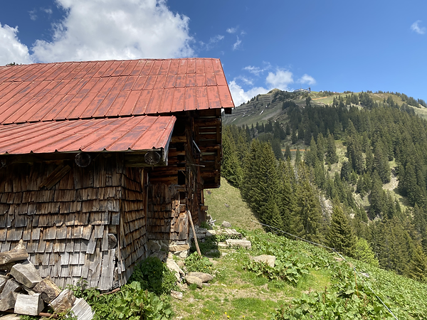 Untere Lüchlealp
