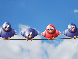 בידול ואמינות בקורות חיים