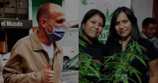 Histórico: Dirandro devuelve material utilizado para cultivar cannabis para pacientes [FOTOS]