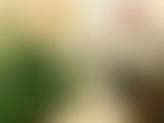 Ilustración del Congreso del Perú con planta de cannabis y libros de leyes 30681, 31312 y 32195 sobre regulación medicinal e industrial