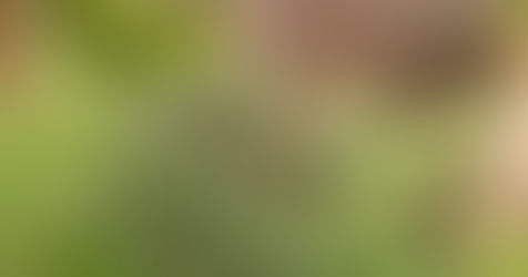 Extractos de cannabis cultivado en Perú obtienen certificados de análisis en EEUU