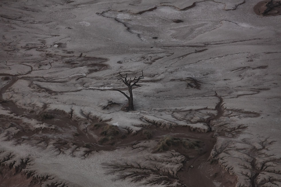 y of silence series no. 6