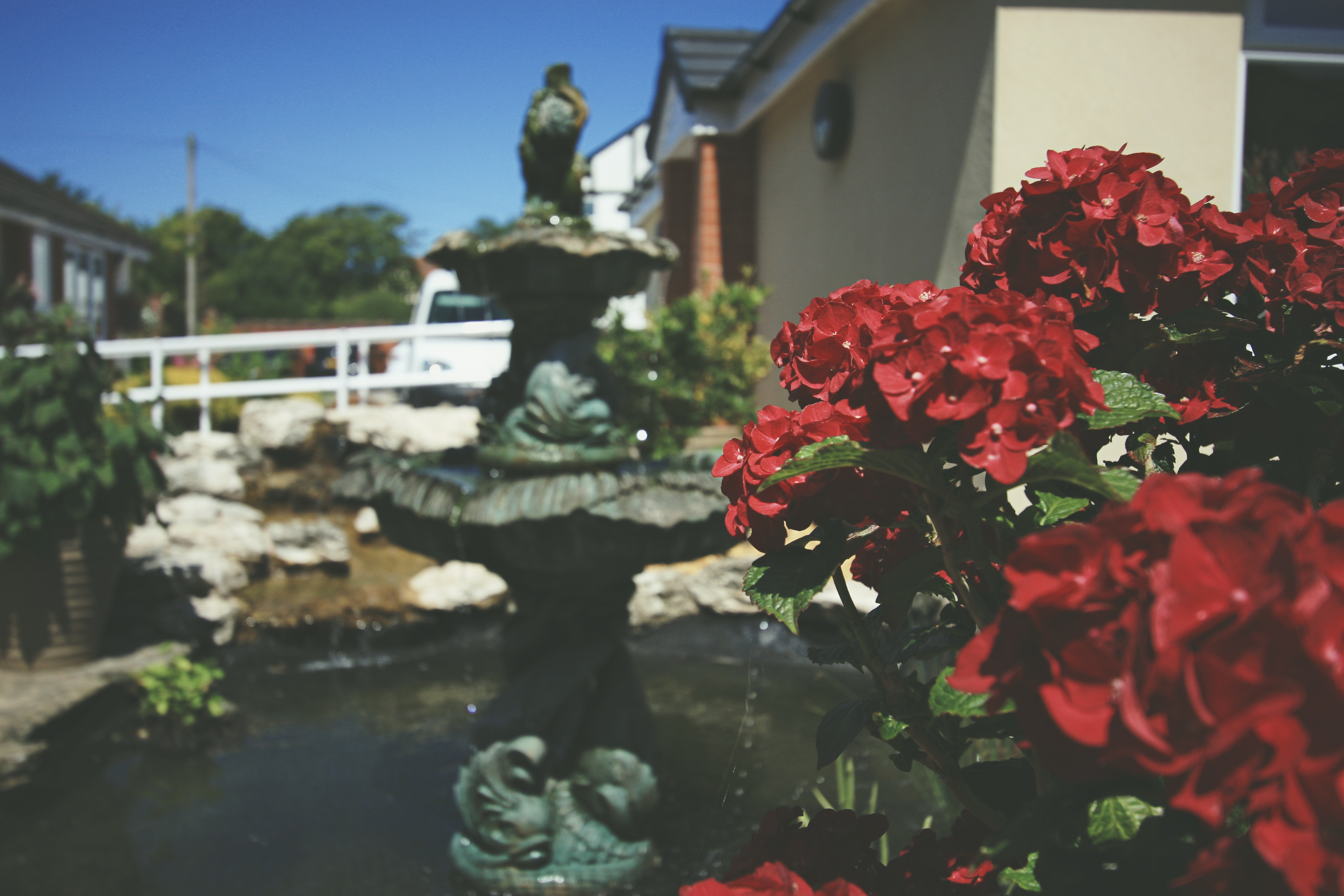 Home Springfield Court Nursing Home