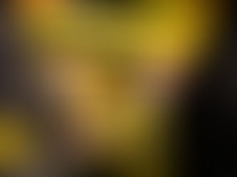 DIREITOS FUNDAMENTAIS COMO FORMA DE SUA VIOLAÇÃO