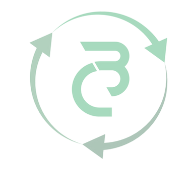 Beyond Carbon logo_edited.png