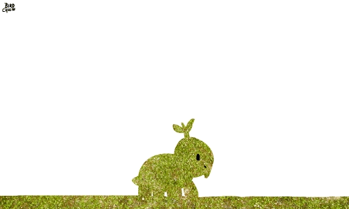 Turtwig - Grotle - Torterra