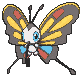 Beautifly