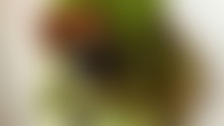 Beck at Brown's Hotel  |  review