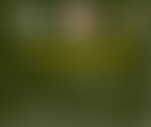 Join Lumbee Food Collective for their next cooking demonstration on  Thursday, November 13, 2025 from 6 pm - 8 pm!