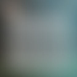 The Lumbee Tribe of N.C. awaits with gratitude and appreciation the signature of President Donald Trump on the National Defense Authorization Act (NDAA) bill. The ceremony is today at 6:00 p.m.