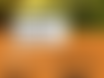 Community meeting with the Triangle Area Lumbee Community on December 6, 2023