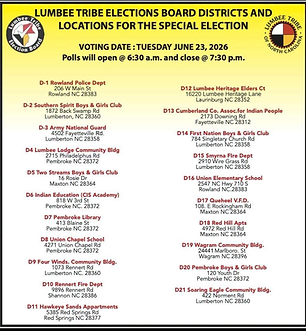 Voting districts.png