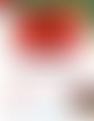 Elders you are invited to a Healthy Holidays Clinic Day on Friday, December 5, 2025 at the Pembroke Boys & Girls Club on 120 Youth Drive in Pembroke, NC.