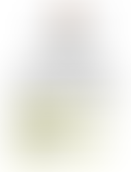 RESTRICTED SOLICITATION: FOR THE CONSTRUCTION OF ONE (1) SINGLE-FAMILY HOME, 7539 Rennert Rd.