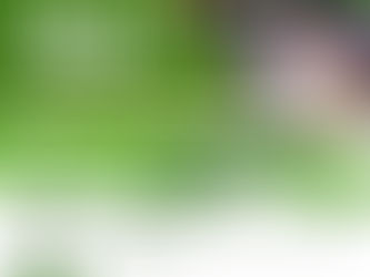 Plan to join us for a great day of golf during the Gene Locklear Scholarship Golf Tournament while supporting a great cause!