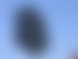 We want to take time to recognize February 2nd as a Lumbee Holiday, as established by the Lumbee Tribal Council.