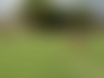 This Lumbee Homecoming saw a revival of competitive ancient games within the Lumbee Tribal Territory