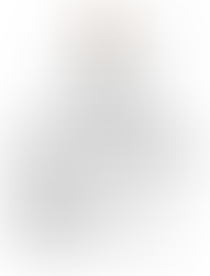 RESTRICTED SOLICITATION: FOR THE CONSTRUCTION OF ONE (1) SINGLE-FAMILY HOME, 2753 ROZIER CHURCH ROAD