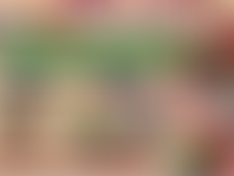 Hoke County Indigenous Powwow on Friday, December 1, 2023 and December 2, 2023