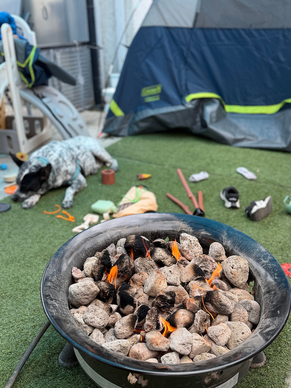 A blue heeler dog naps in the background by a tent and firepit set up in a backyard patio.