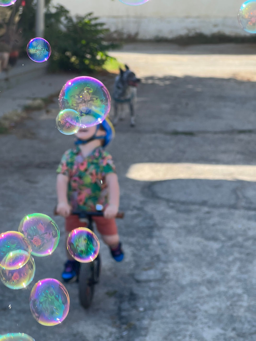 A preschooler delights in racing their bike through tons of floating bubbles