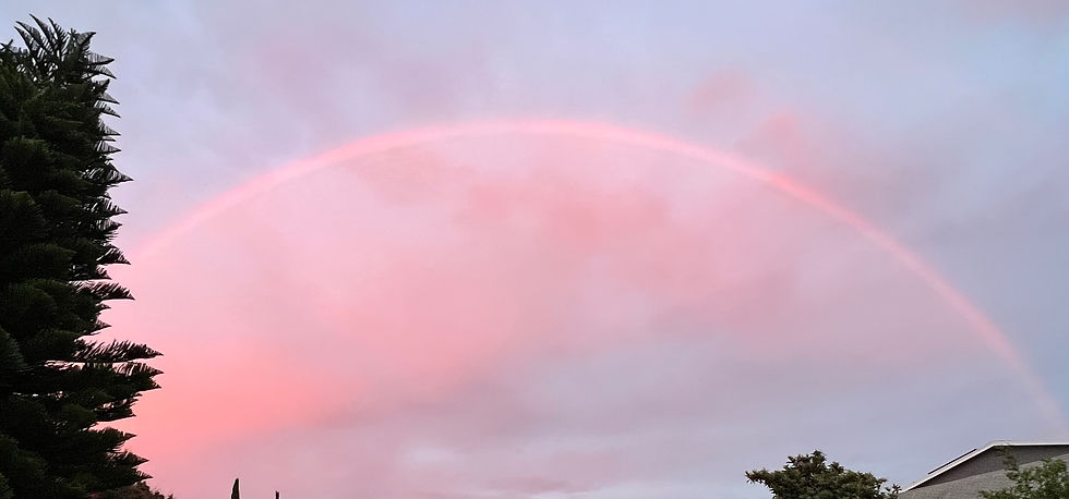 A rare moment of finding a post-rain rainbow in a neighborhood in LA.