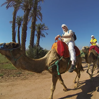 Agafay Desert Camel Ride