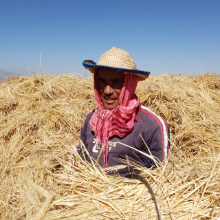 Kik Plateau Farmer.jpg