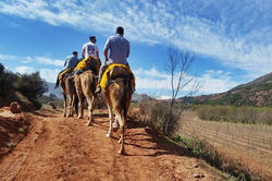 Atlas Camel Trek (8)