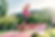 Pumptrack Rundkurs