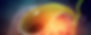 images.jpeg