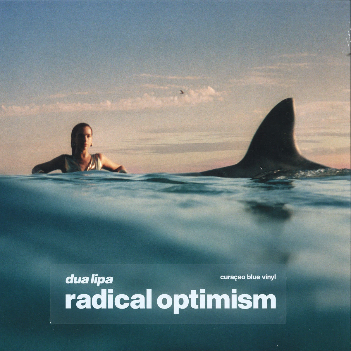 DUA LIPA - RADICAL OPTIMISM