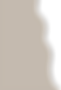 Campus Highlight Map background.png