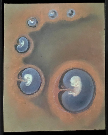 8D410734-D4B5-44D3-AE7F-3DE22A367AE0.jpe