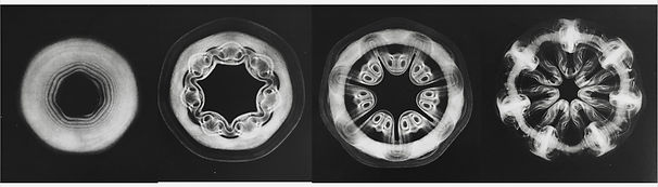 1138C718-4823-446B-A3B2-742BD1F934E9.jpe