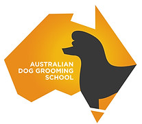 aus dog school.jpeg