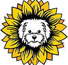 colour jdg logo.jpg