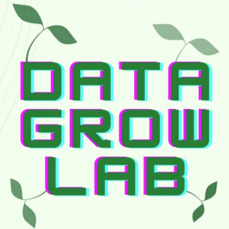 Data Grow Lab Logo
