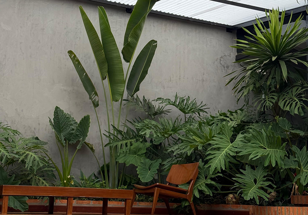 Proyecto arquitectónico desarrollado por Grupo Fernández, estudio de arquitectura en Paraguay